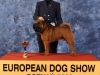 Eurodog BOB